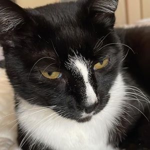 Meet your Posher, Jonah